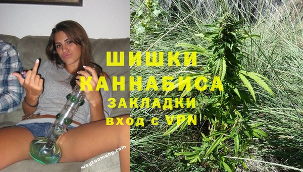 мдпв Навашино