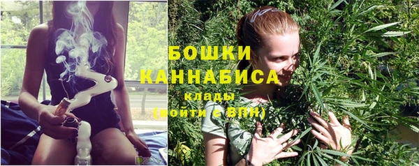 мдпв Навашино